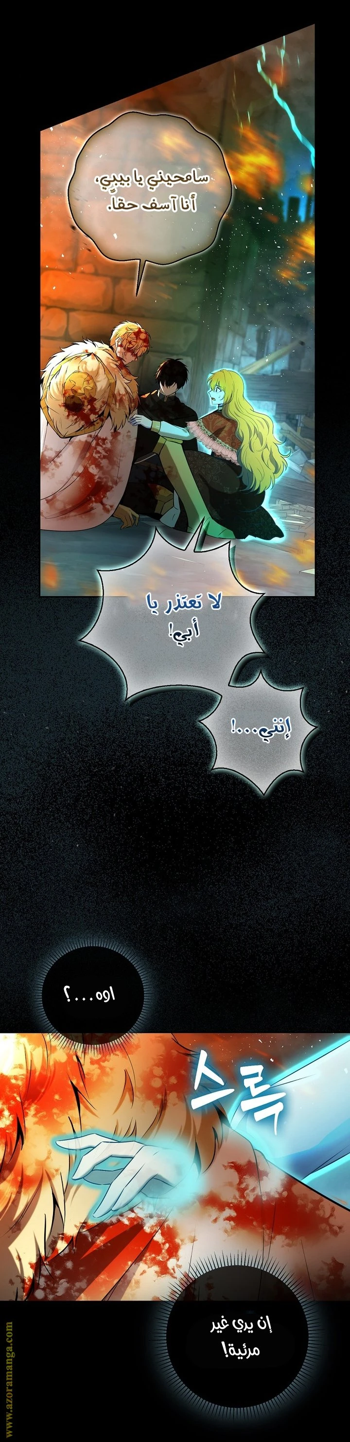 الصفحة 17