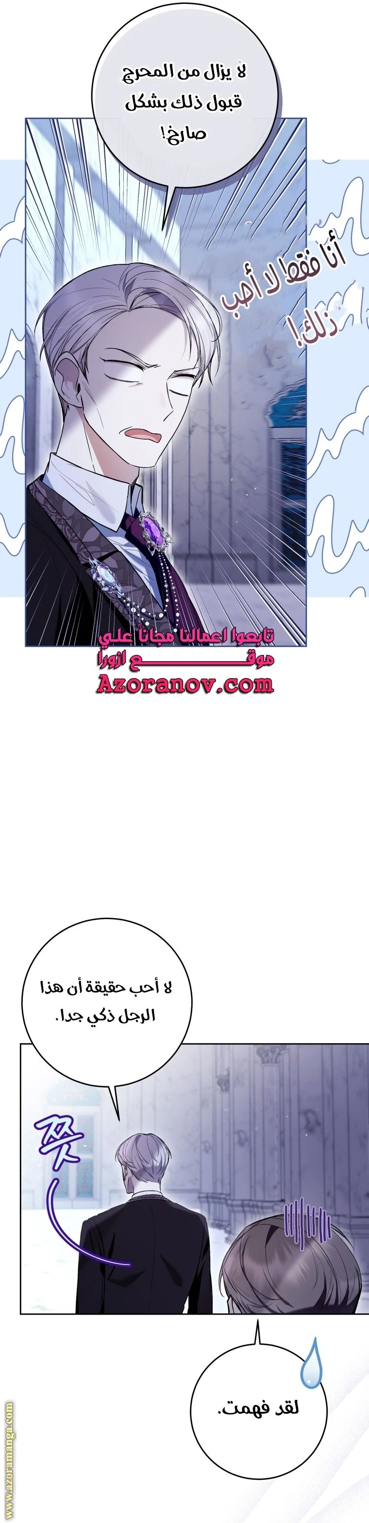 الصفحة 29