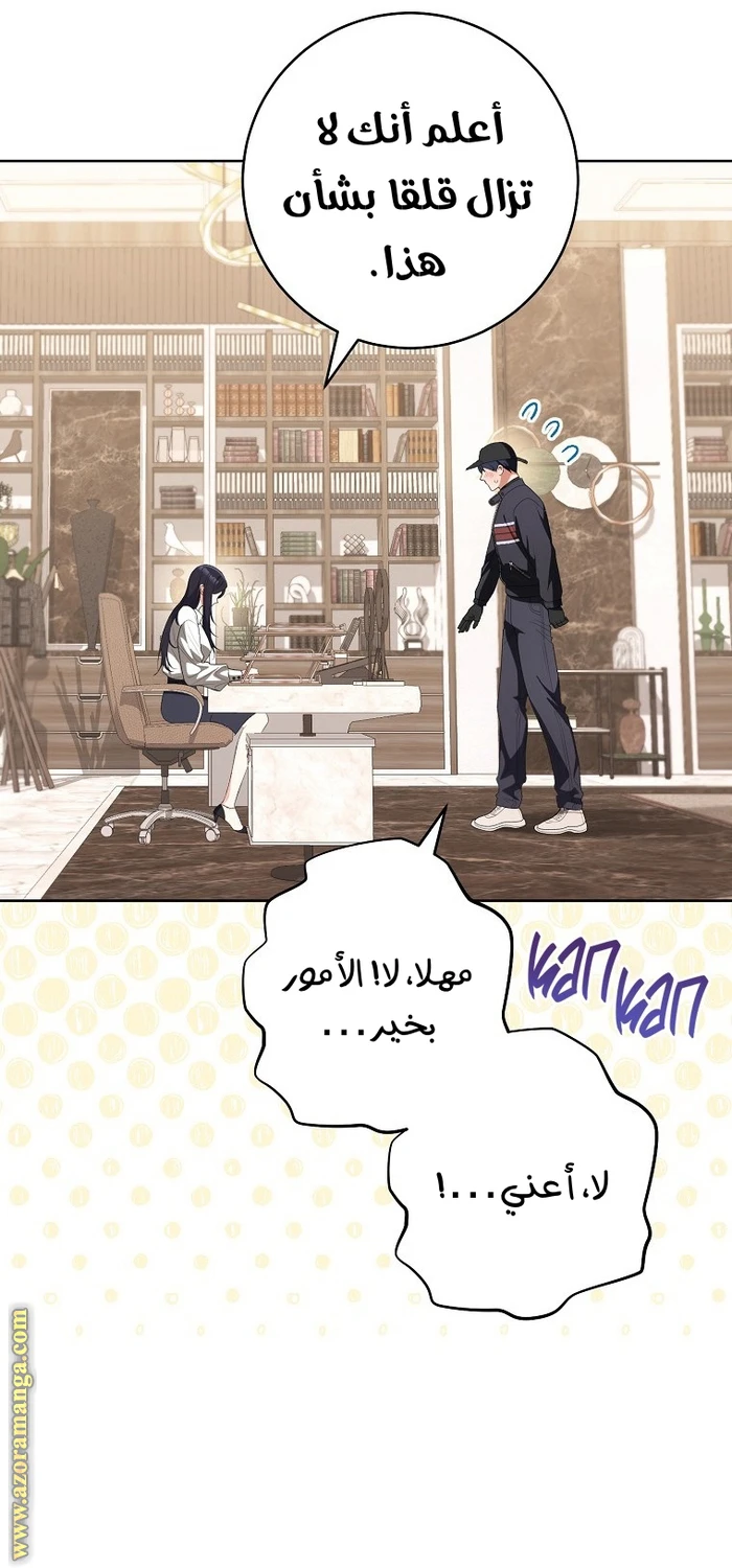 الصفحة 27