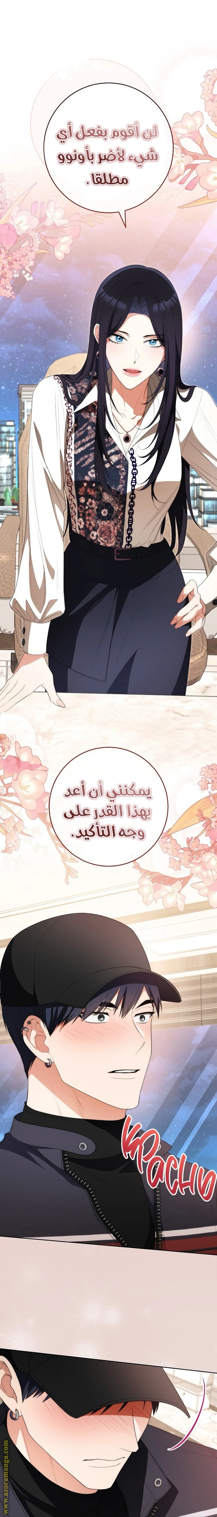 الصفحة 29
