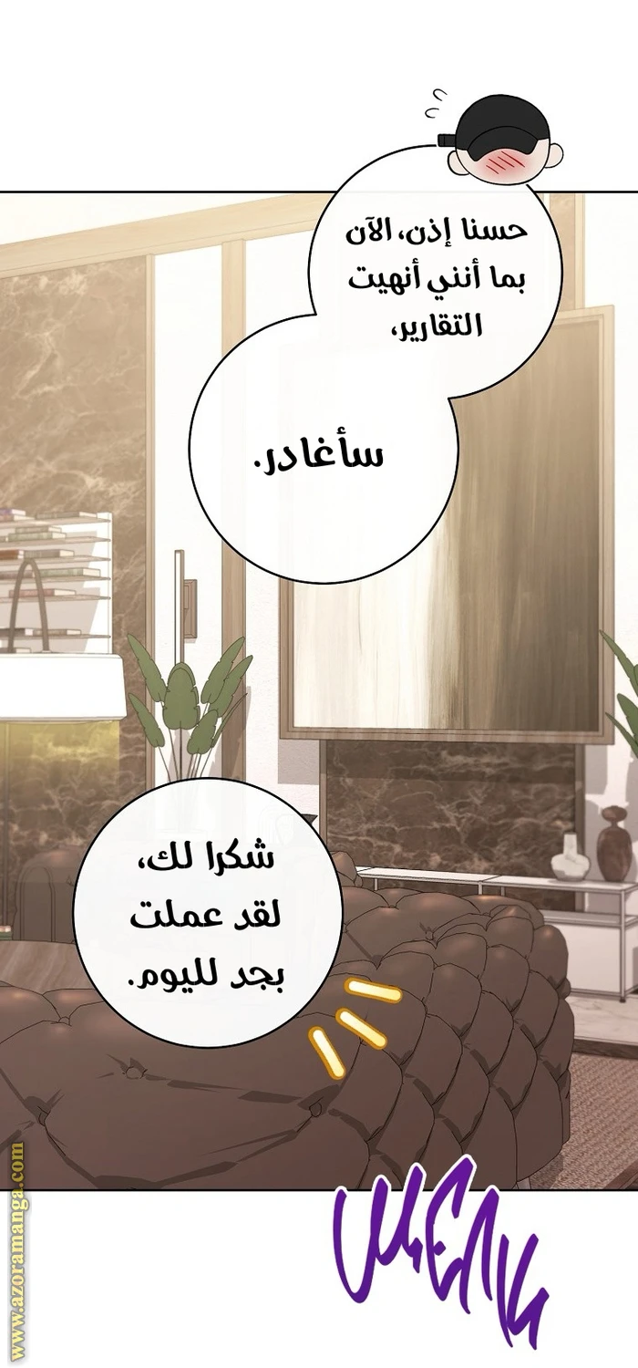 الصفحة 31