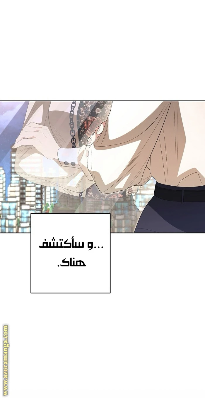 الصفحة 33