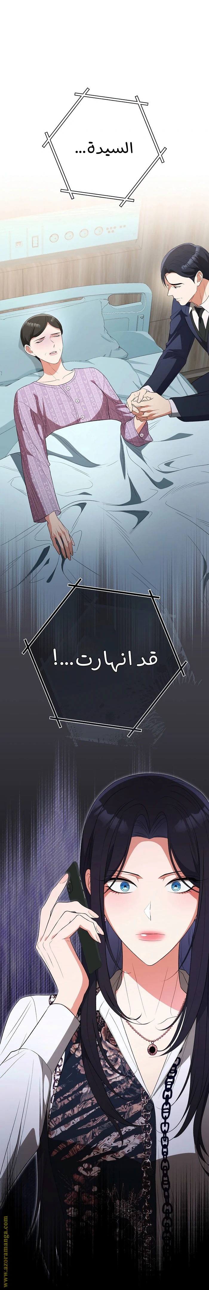 الصفحة 40