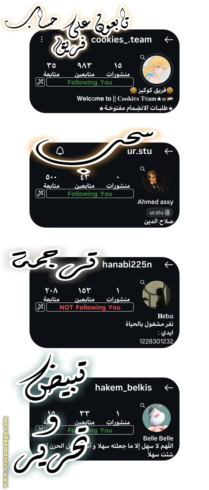 الصفحة 14