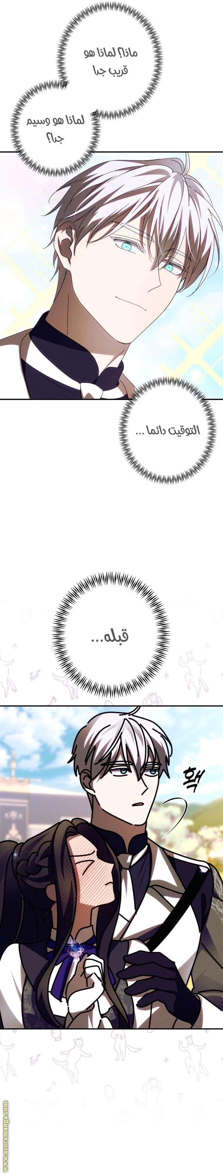 الصفحة 11