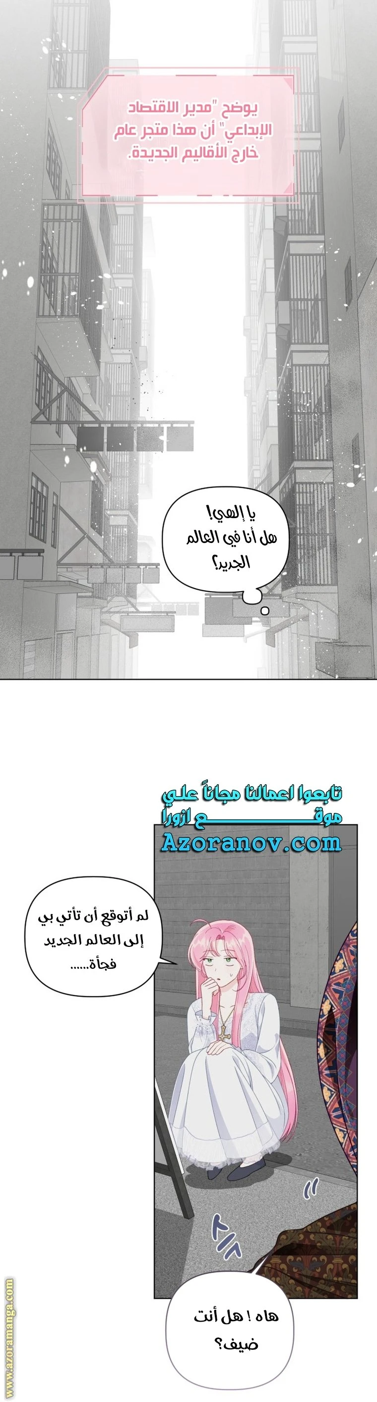 الصفحة 17