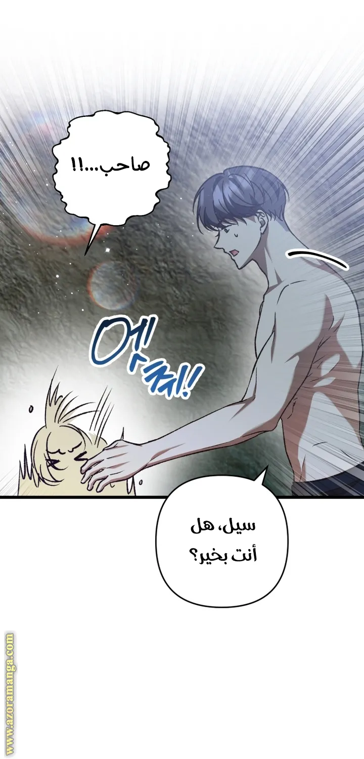 الصفحة 27
