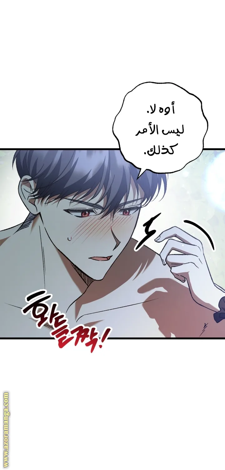 الصفحة 33