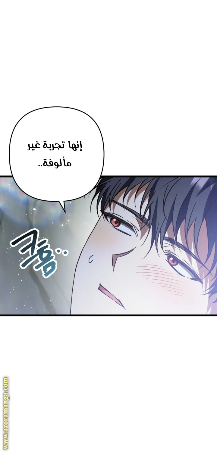 الصفحة 43