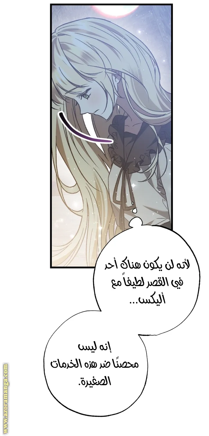 الصفحة 45