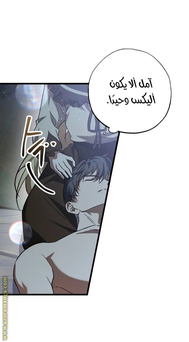 الصفحة 46