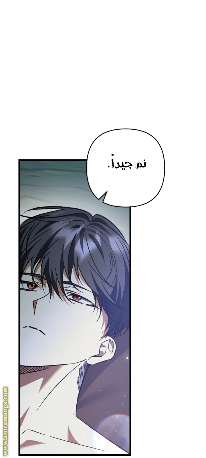 الصفحة 53