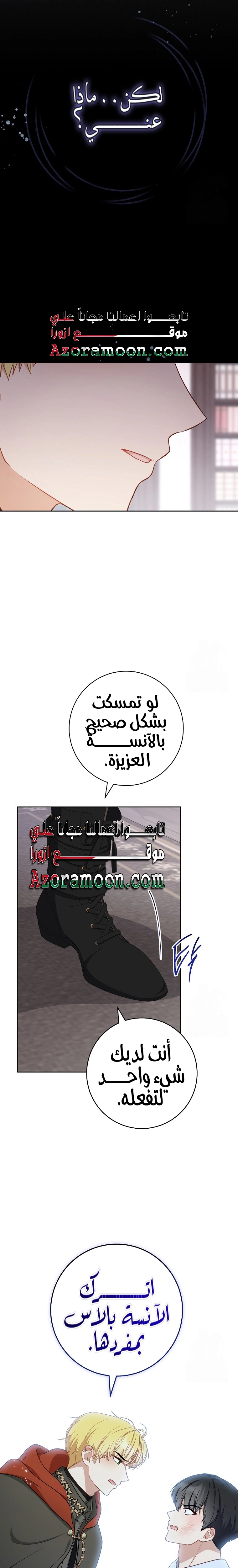 الصفحة 17