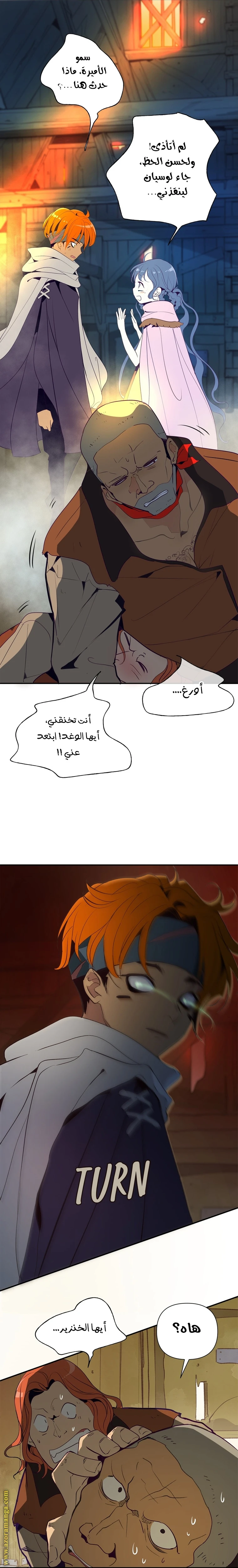 الصفحة 15
