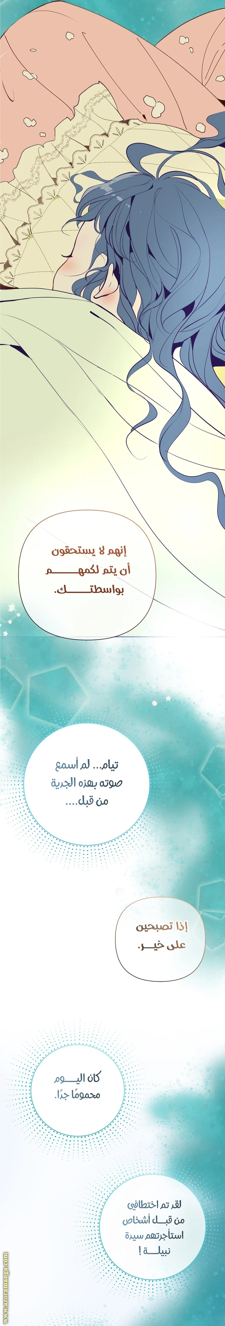 الصفحة 20
