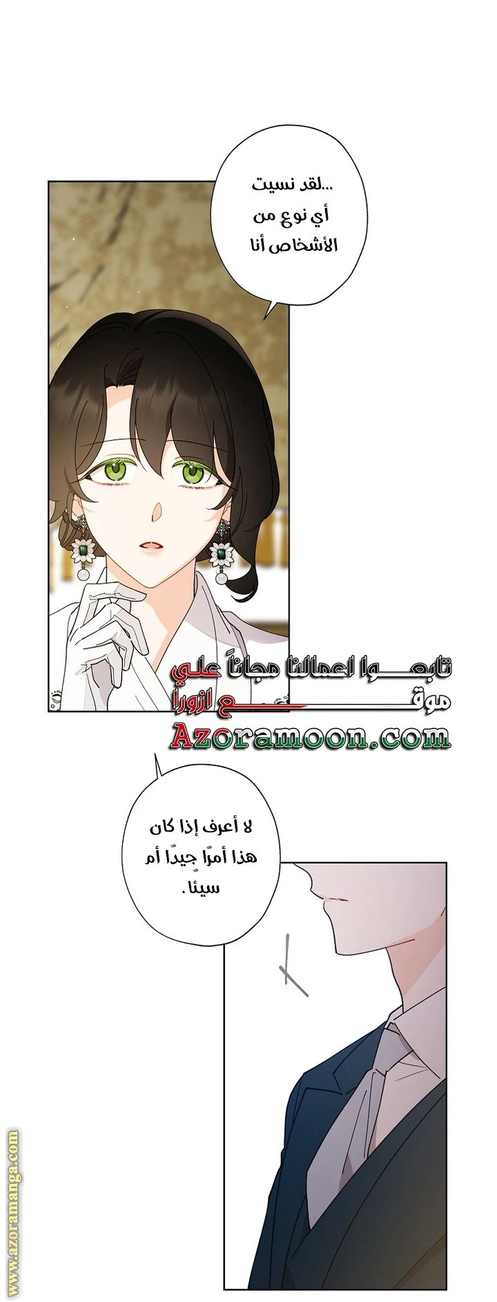 الصفحة 20