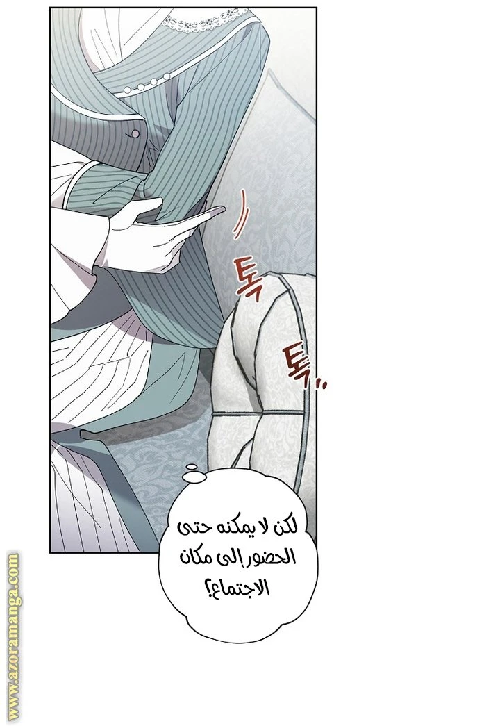 الصفحة 41