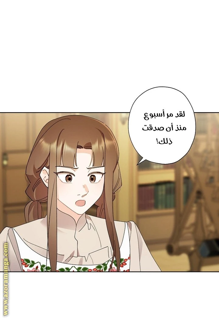 الصفحة 48