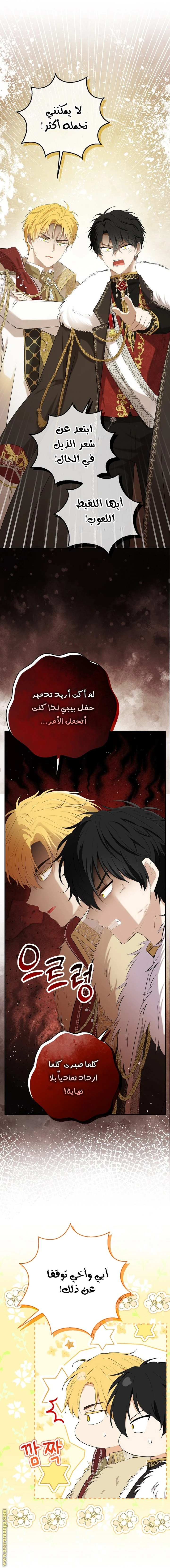 الصفحة 19