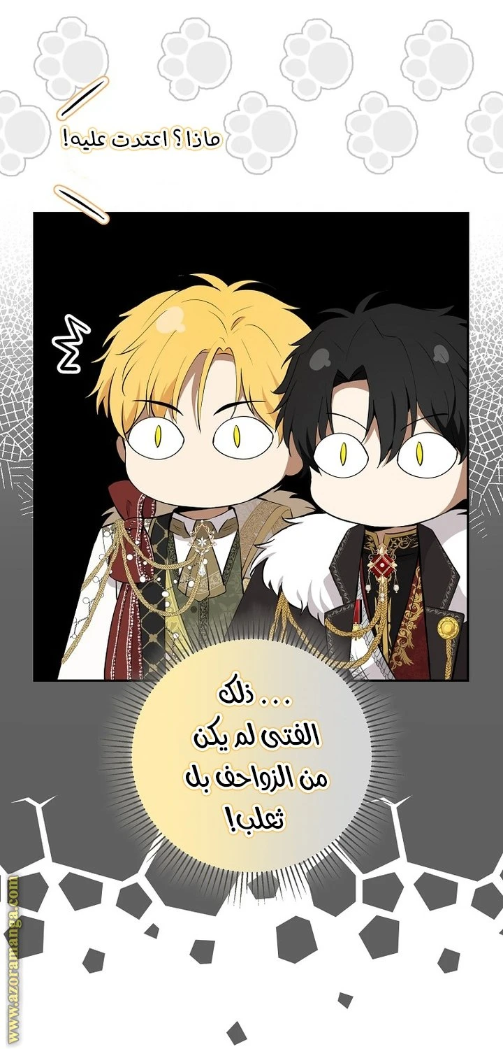 الصفحة 21