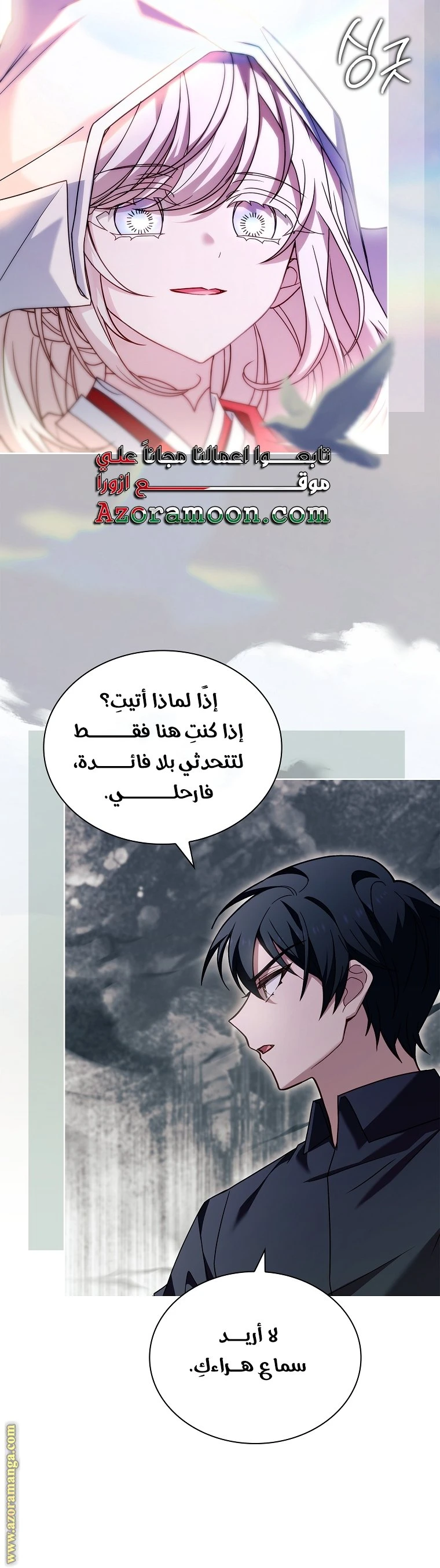 الصفحة 17