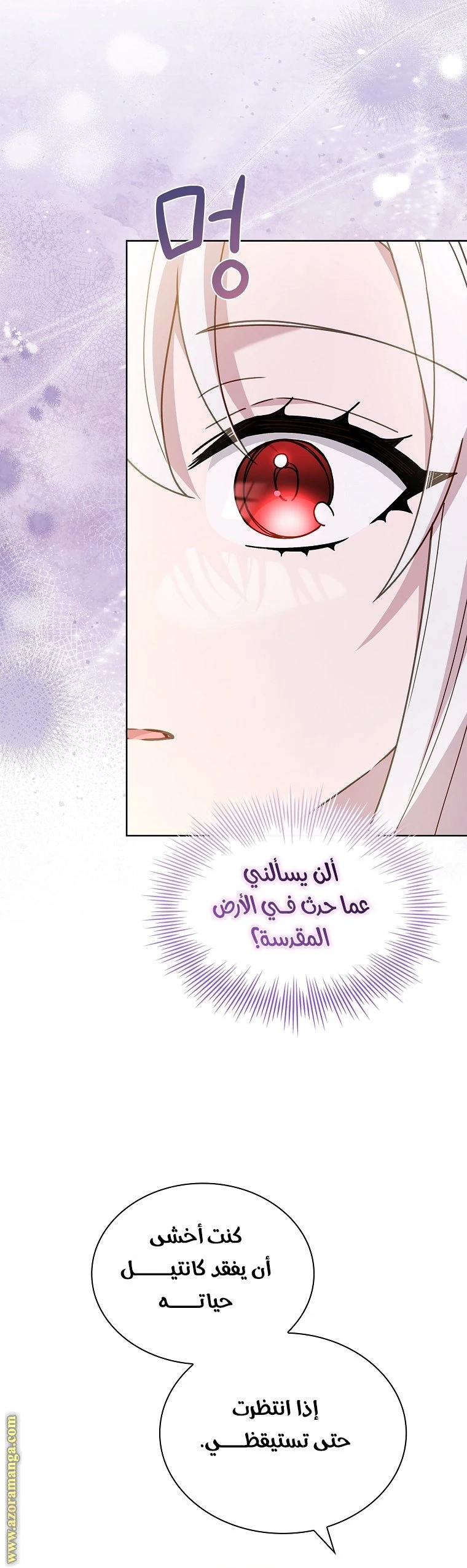 الصفحة 48