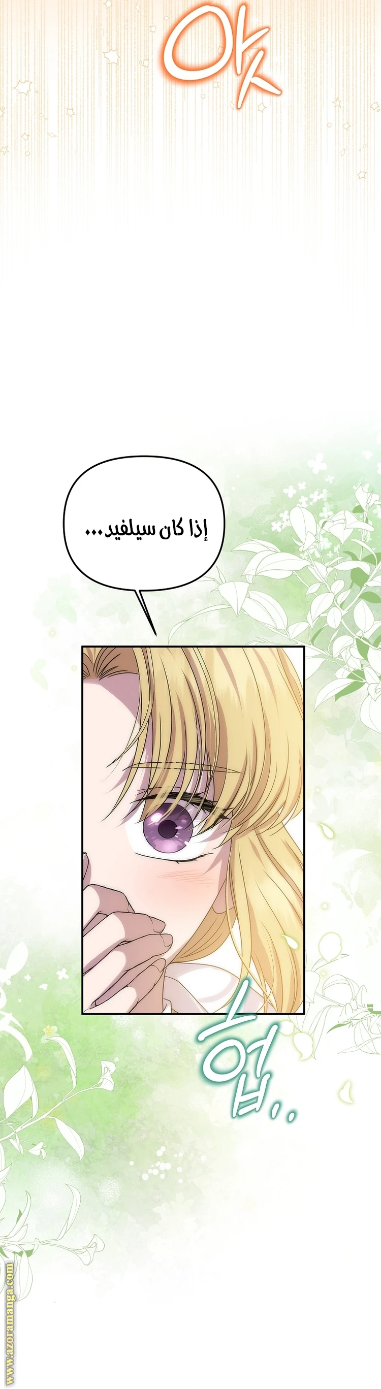 الصفحة 27