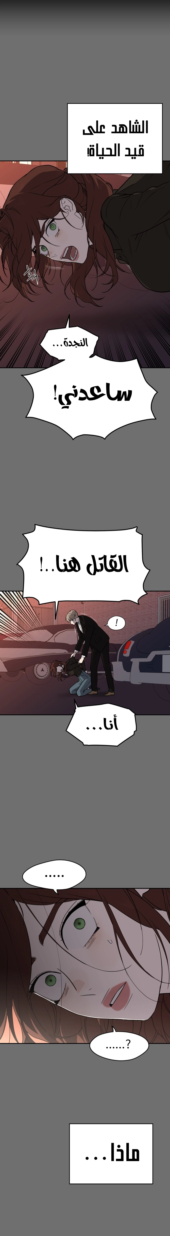 الصفحة 16