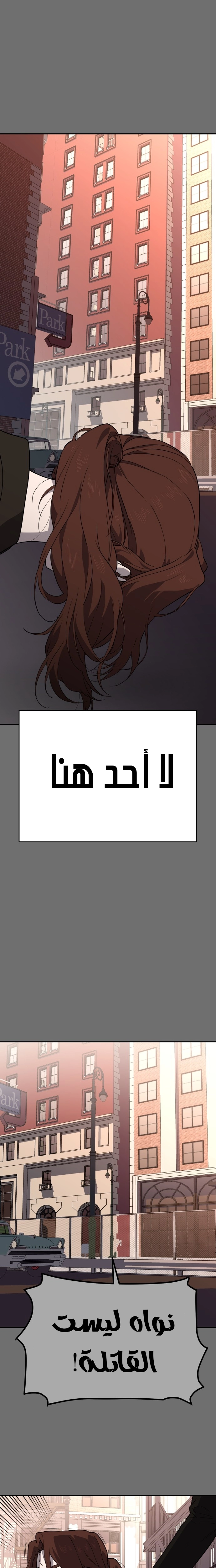 الصفحة 17