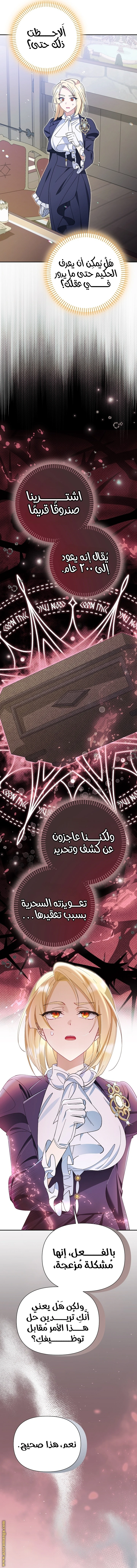 الصفحة 17