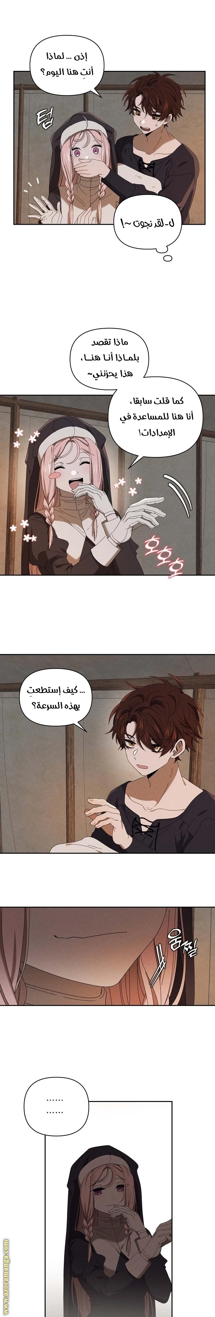 الصفحة 12