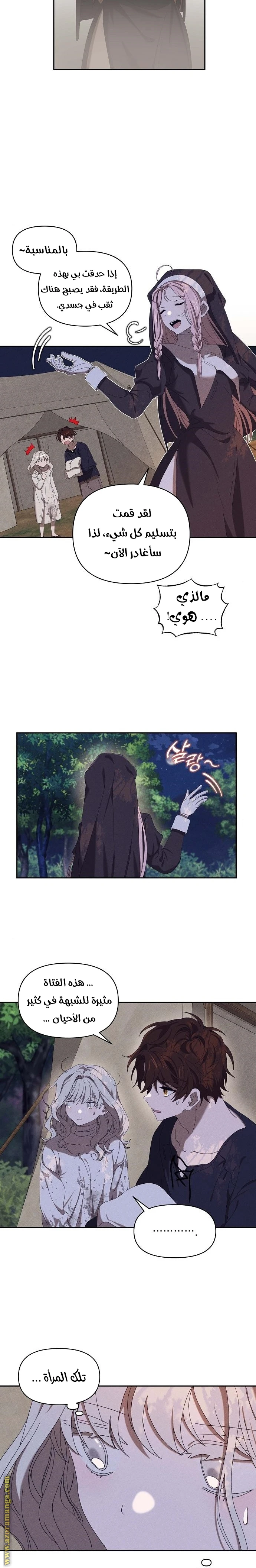 الصفحة 13