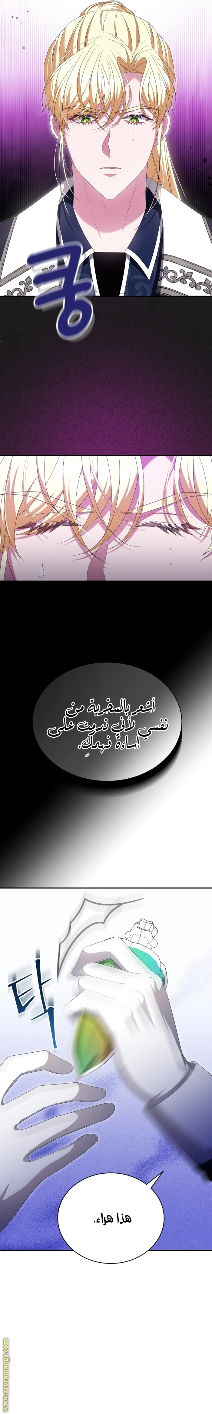 الصفحة 16