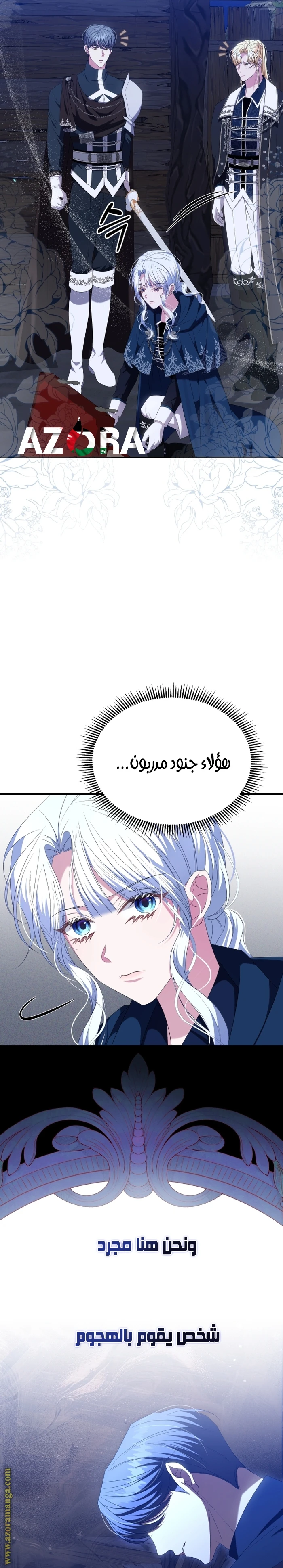 الصفحة 27