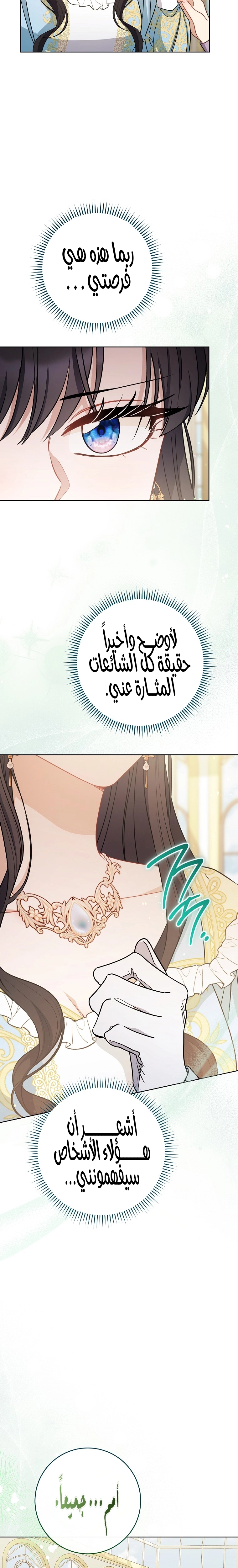 الصفحة 25