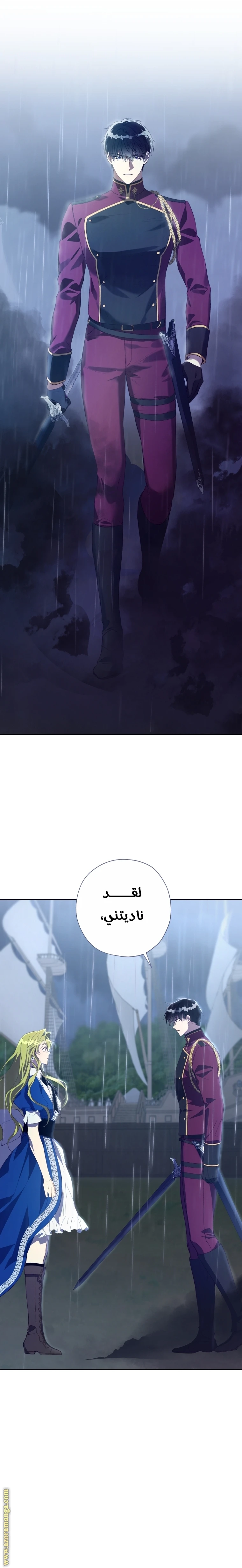 الصفحة 26