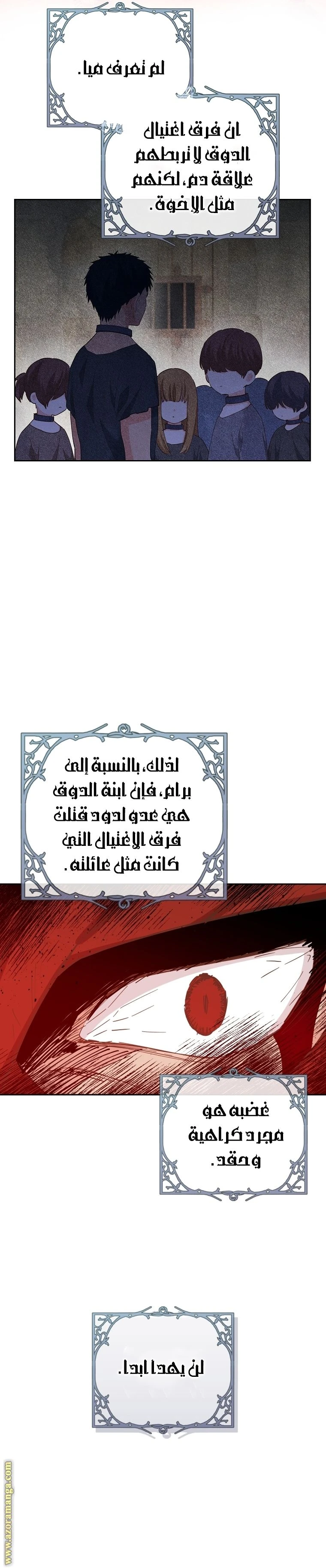 الصفحة 17