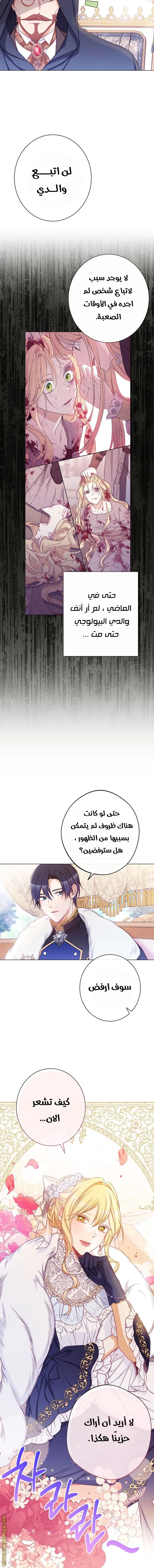 الصفحة 13