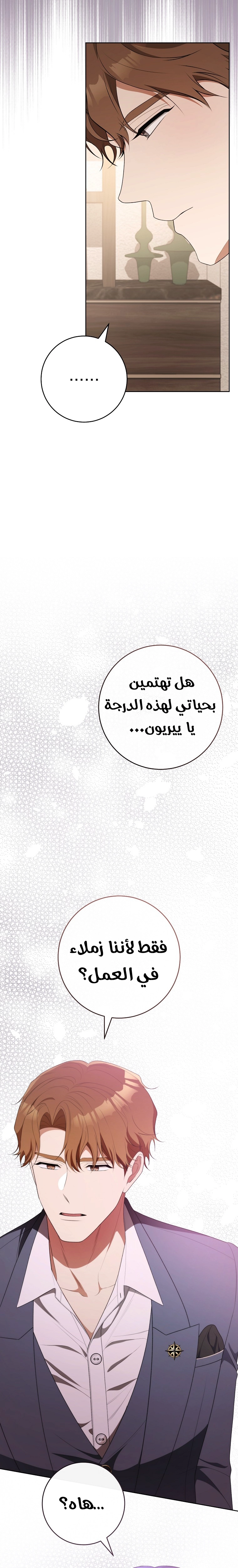 الصفحة 19