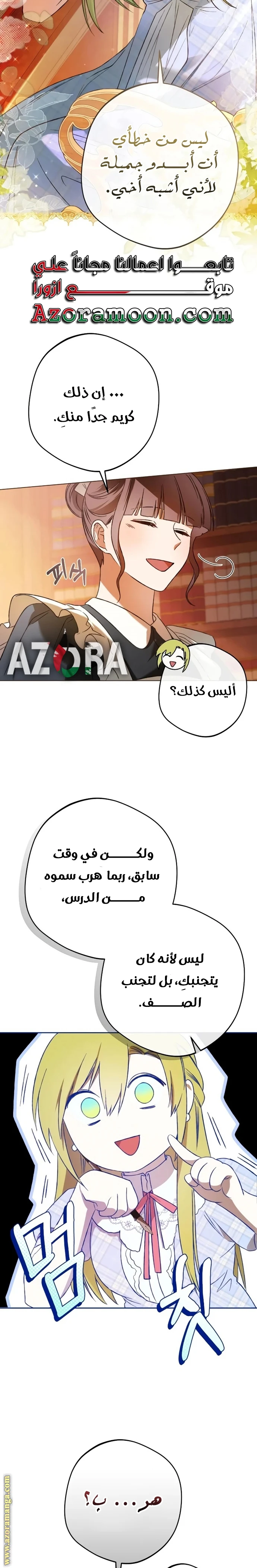 الصفحة 17