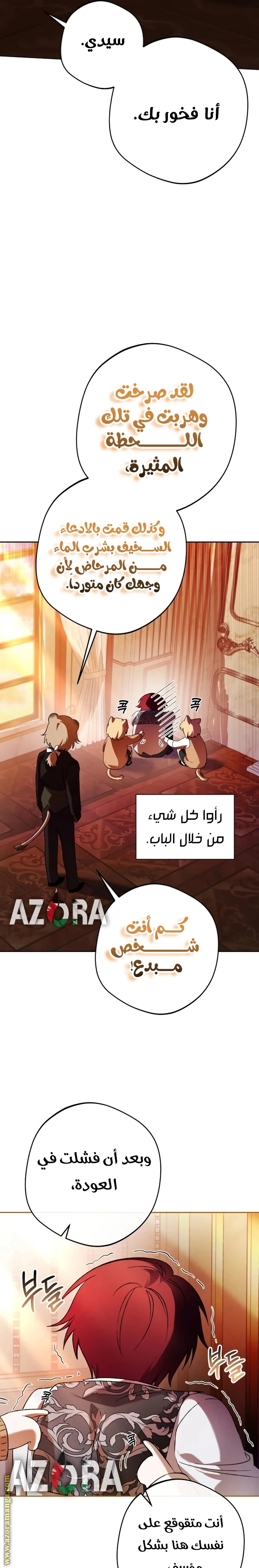 الصفحة 19