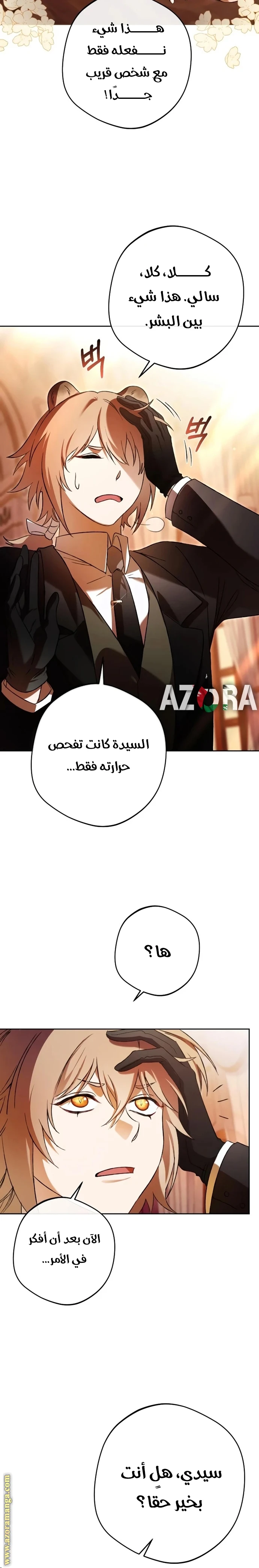 الصفحة 21
