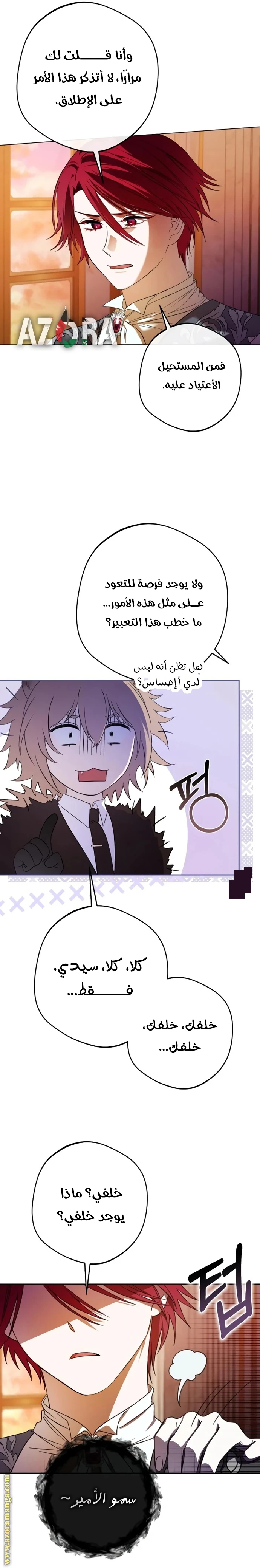 الصفحة 25