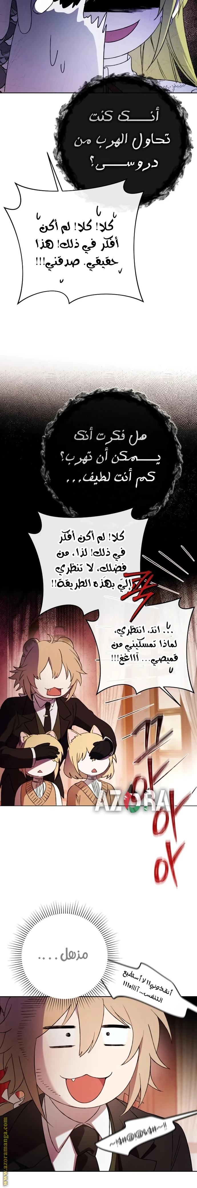 الصفحة 27