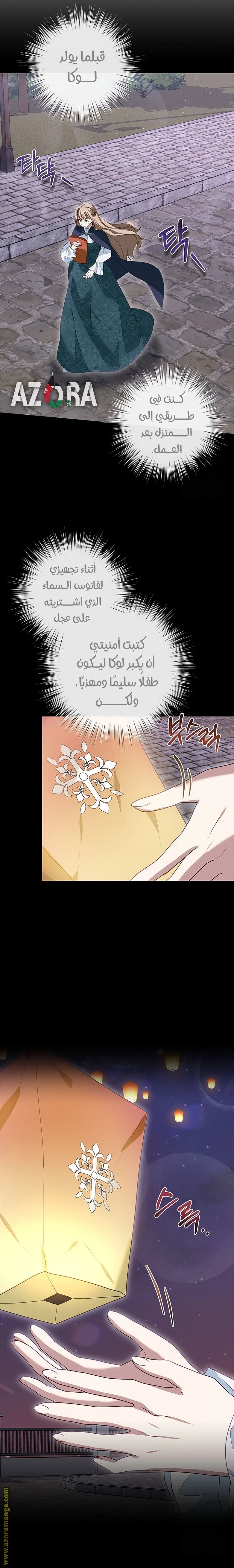 الصفحة 13