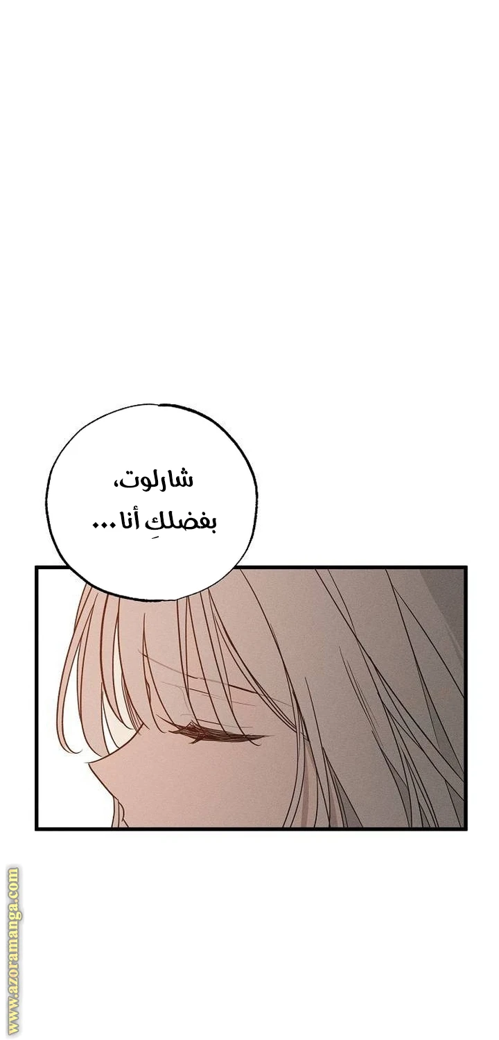 الصفحة 23