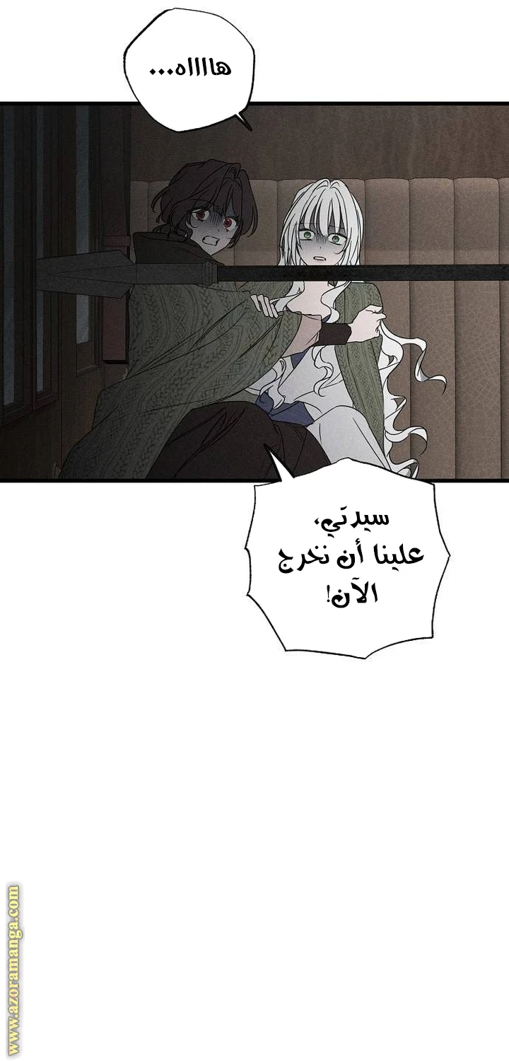 الصفحة 29