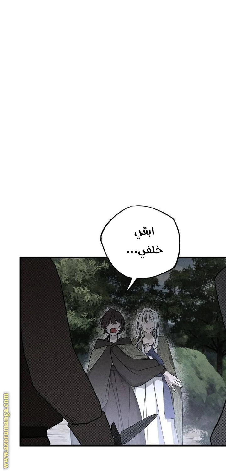 الصفحة 41