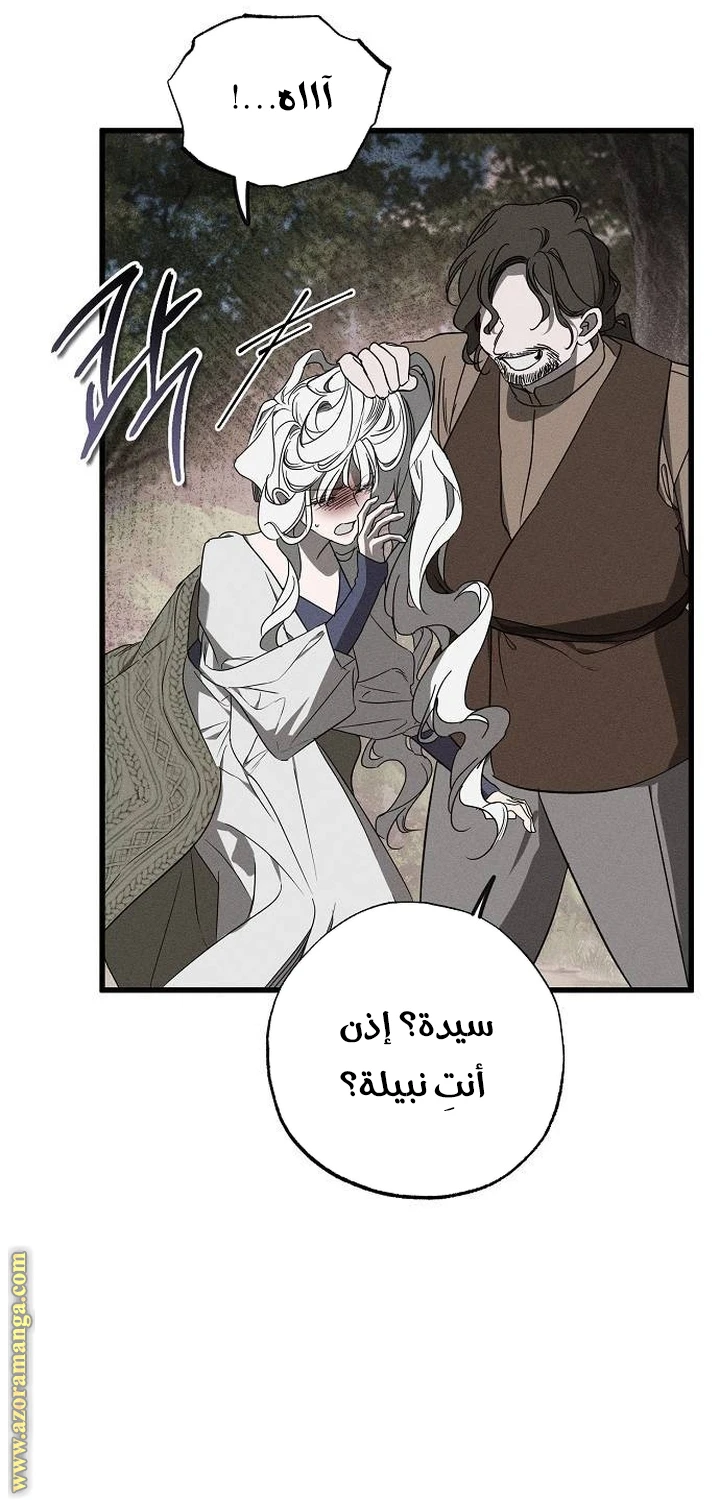 الصفحة 47