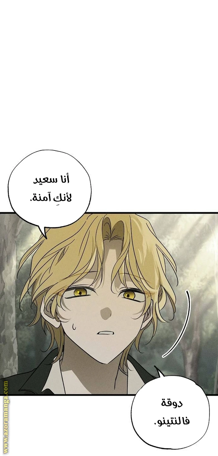 الصفحة 60